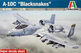 1/48 A-10 BLACKSNAKERS