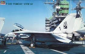 1/48 F-14D Tomcat CVW-14